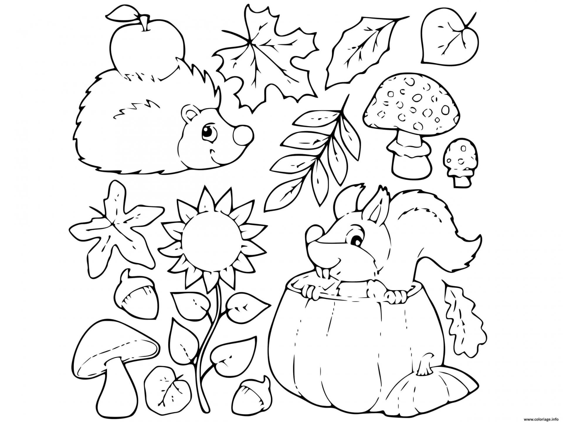 Coloriage Fall Automne Feuilles Dessin Feuille Automne à imprimer