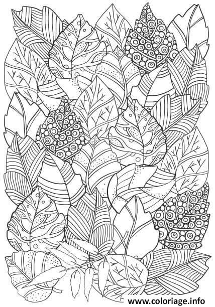 Coloriages Pour Adultes à Imprimer